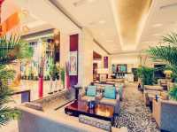 牌五星的海淀穩穩之選