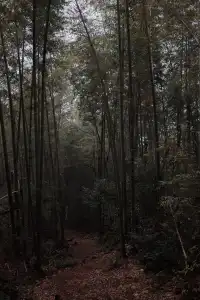 江西萍鄉/武功山一天正穿