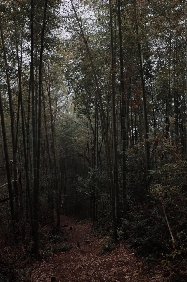 江西萍鄉/武功山一天正穿