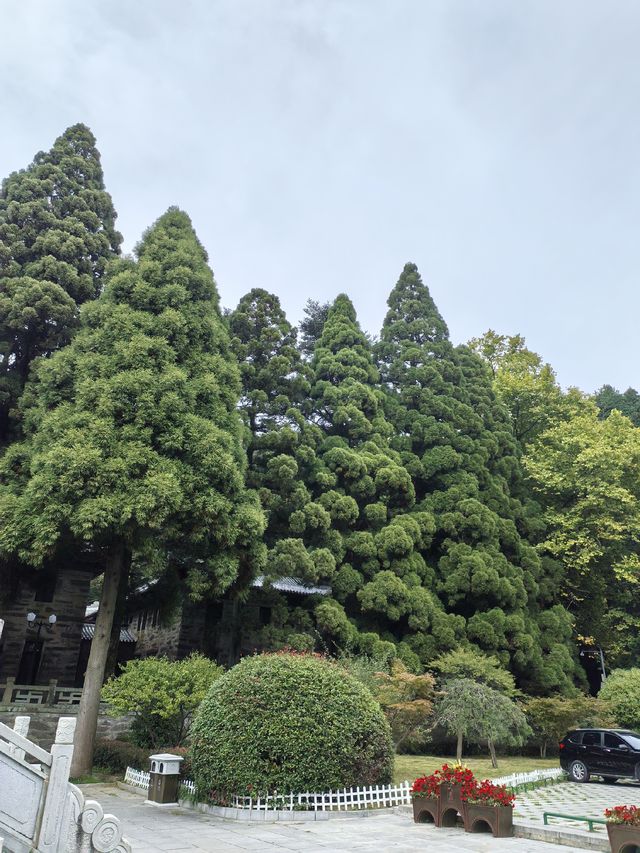 蘆林湖的靜美 蘆林湖的靜美