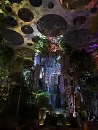 三生三世｜上海溫室花園 人少篇