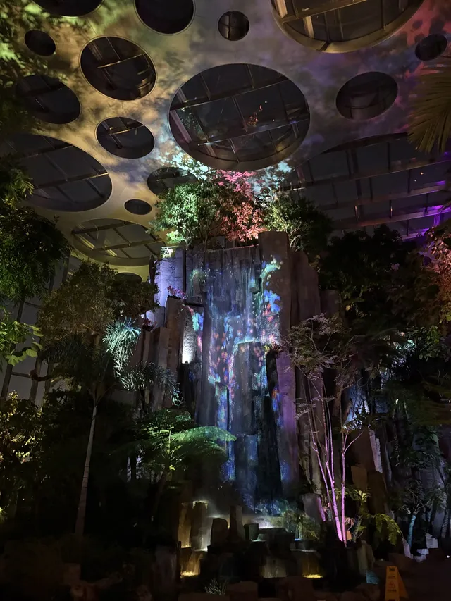 三生三世｜上海溫室花園 人少篇