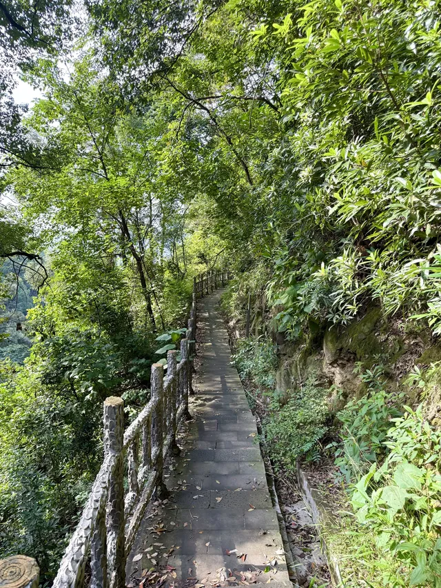 重慶主城!最喜歡的citywalk路線好治癒… 重慶主城!最喜歡的citywalk路線好治癒…