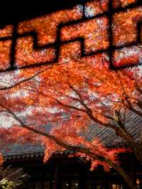 虞山秋日限定常熟紅葉美翻了丨附機位