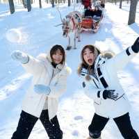 5日呼倫貝爾深度遊攻略全在這了