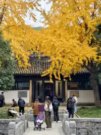 打翻調色盤,最後一次這個視角做寄暢園封面