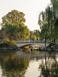 玄武湖|秋日序章