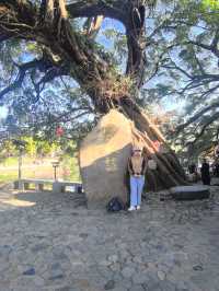 南靖雲水謠古鎮,電影同款世外桃源也太仙了吧!