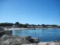 Perth|Rottnest island 🩵