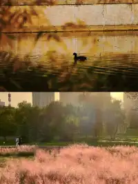 大明宮遺址公園保姆級攻略