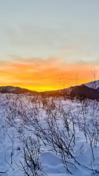 禾木落日太美了我不願你錯過冬季的禾木