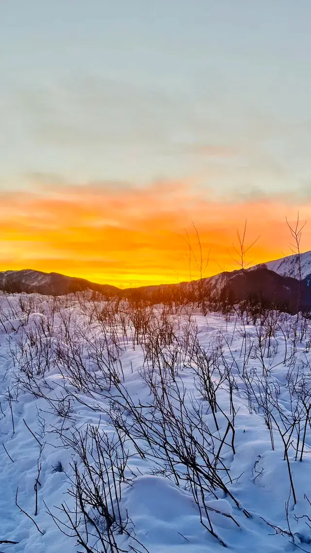 禾木落日太美了我不願你錯過冬季的禾木 禾木落日太美了我不願你錯過冬季的禾木