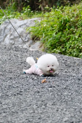 Life is a wilderness, Chongzuo Blue Cave Transnational Coffee