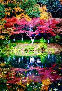 秋日來信,魔都私藏了一座油畫森林!|共青尋色指南