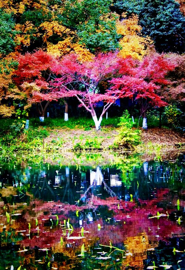 秋日來信,魔都私藏了一座油畫森林!|共青尋色指南 秋日來信,魔都私藏了一座油畫森林!|共青尋色指南