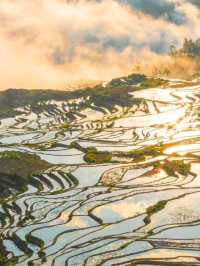 哀牢山元陽梯田徒步指南