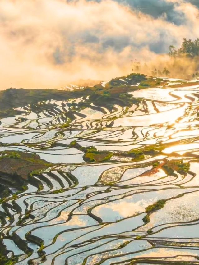哀牢山元陽梯田徒步指南 哀牢山元陽梯田徒步指南