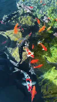 傳說中的“琉璃海”，我在濟南找到了！