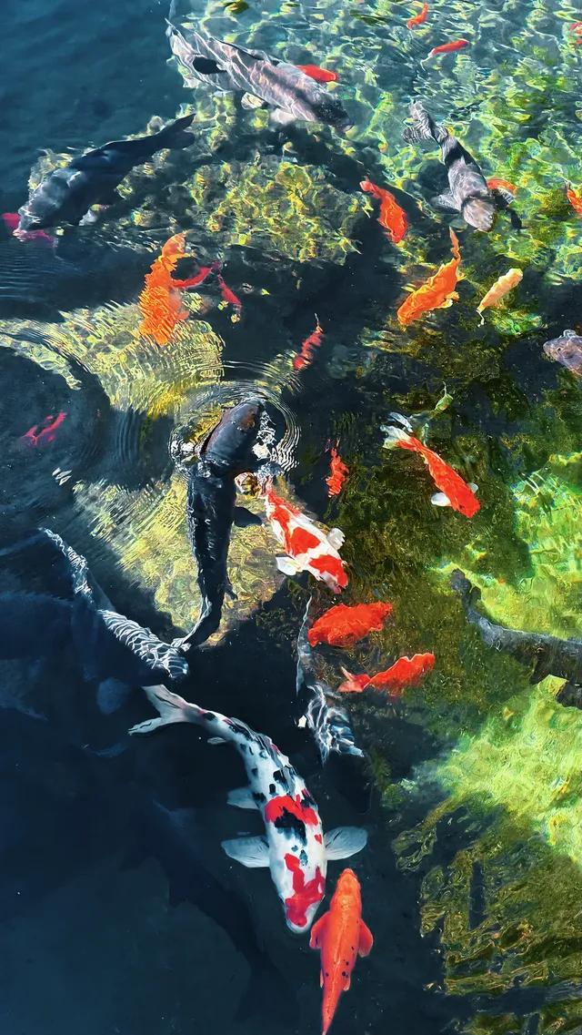 傳說中的“琉璃海”，我在濟南找到了！