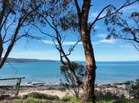 墨爾本大洋路自駕游