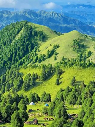 Collection of High Mountain Meadows Around Guangdong, No Need to Travel Far to Xinjiang! You Can Relax and Enjoy the Grasslands Within the Province