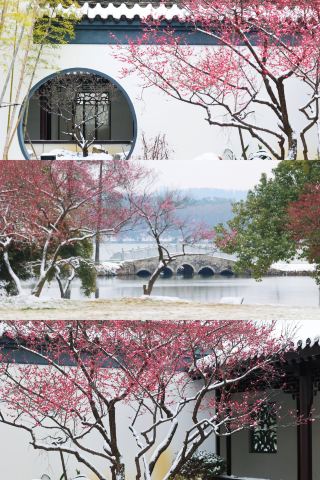 Searching for Plum Blossoms in the Snow: The Most Beautiful Drunken Changsha