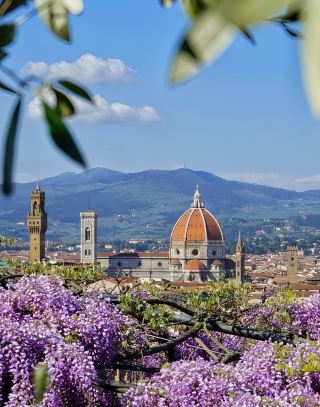 Florence Travel Guide