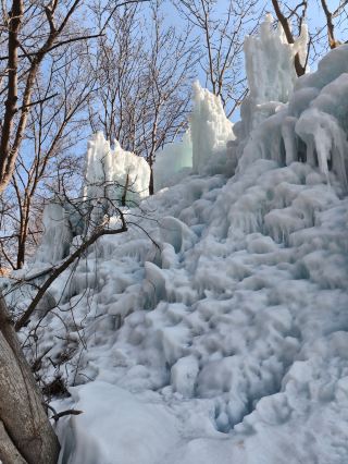 Half-Day Tour of Pingshan Tea Mountain in Pingdu｜Monkeys Accompany You to Climb the Mountain and See Snow