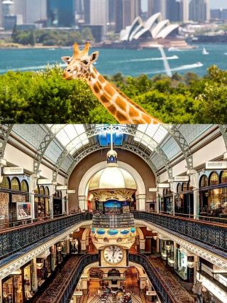 Australia Travel | 30 Must-Do Things in Sydney