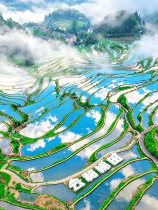 May Day Lishui Yunhe | Fairy Tale Terraces Double Check-in, Super Healing Short Trip in Jiangsu, Zhejiang, and Shanghai