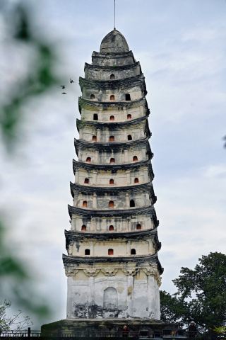 栄県に隠れた宋代の白塔、古建築愛好者必見スポット
