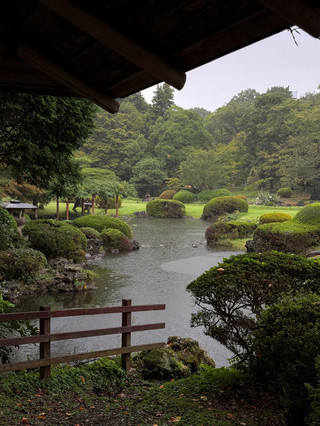 新宿御苑傳統庭園真實旅遊評價