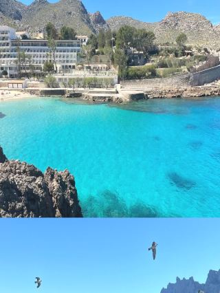 Must-see for families in the UK! Mallorca, a Jellyfish Beach Resort Paradise.
