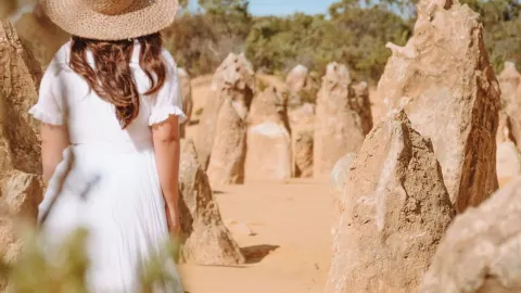 메르세데스-벤츠 차량으로 서호주를 편안하게 즐기세요! 전용 차량 이동 + 맞춤형 일정 — traveler post in 얄링업