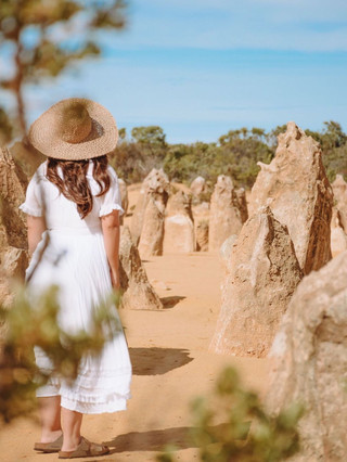 Enjoy a comfortable Mercedes ride to explore Western Australia! Private car travel + customized itinerary