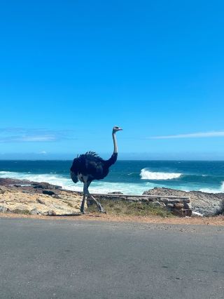9-day multi-country trip guide including Zimbabwe with tips to avoid pitfalls