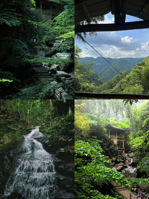 中国大竹海(卧虎藏龙取景地) 参考图 5