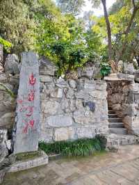 保定美景“蓮漪夏艷”:古蓮花池