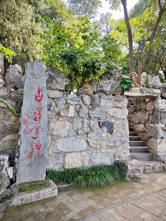 保定美景“蓮漪夏艷”:古蓮花池