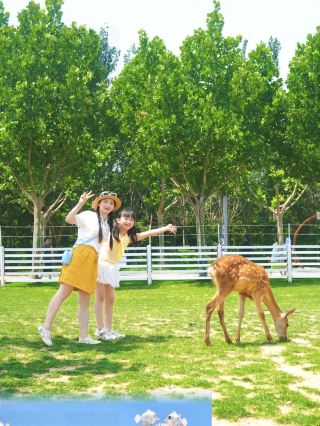 The ultimate summer vacation spot for kids in the Beijing-Tianjin-Hebei area—one stop for water fun