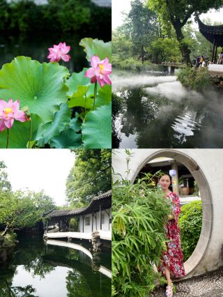 This summer vacation, let's visit Suzhou's Humble Administrator's Garden for a date with the lotus breeze!