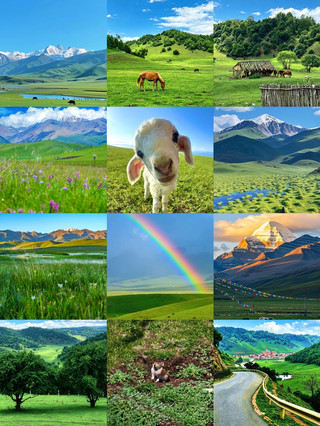 Don’t go crowding at Qinghai Lake. The Qilian Mountains only reach 20℃ in summer