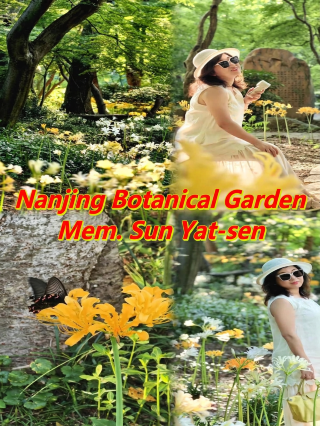 Nanjing’s top spot for kids|Zhongshan Botanical Garden summer guide is here