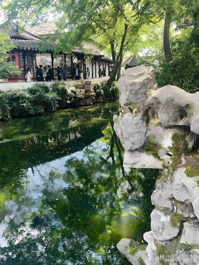 《一池慕白存雅韻 雲間古園醉千年》