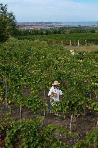 Farmcore at Longting: A Life Rooted in the Land