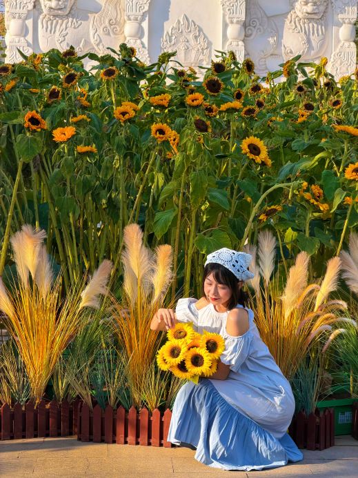 瀋陽東塔のひまわり畑で秋の明るい日差しを撮影しました | Trip.com 瀋陽