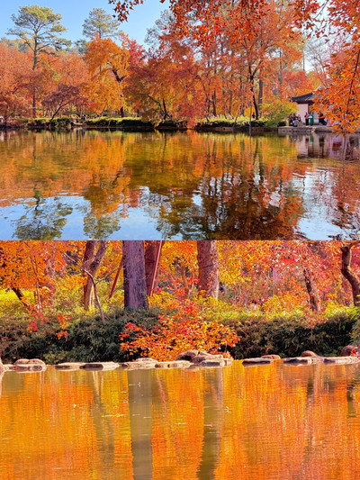 黄色い壁の古刹と紅葉の湖畔、蘇州の秋はここにあり | Trip.com 蘇州