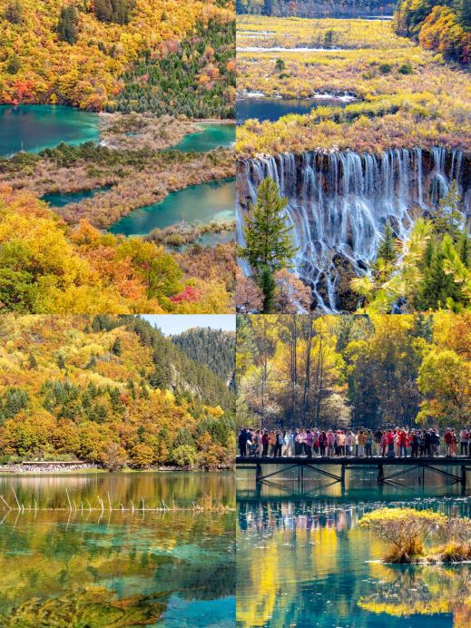 これさえあれば、九寨溝の秋限定、最高の旅を叶える | Trip.com 九寨溝