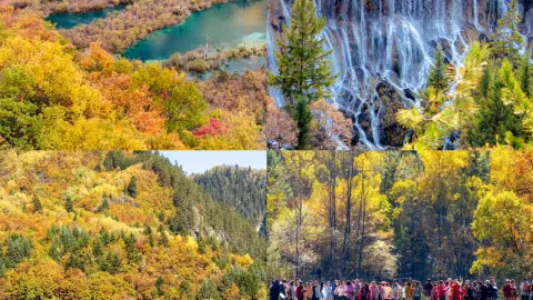 그 덕분에 주자이거우 가을 한정 여행의 정점을 잡았다 — traveler post in 주자이거우