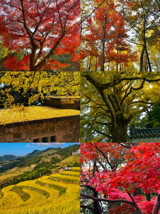 Hunan! Perfect for an autumn trip—four stunning spots